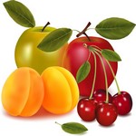 Cherry Apple Pear Vector Art