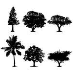 Trees Silhouette 01