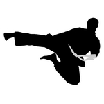 Karate Icon Set [PNG – 512×512]