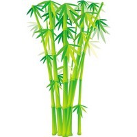 Bamboo and Grass Plant Vector 02