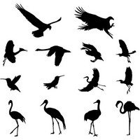 Various Birds Silhouettes 01