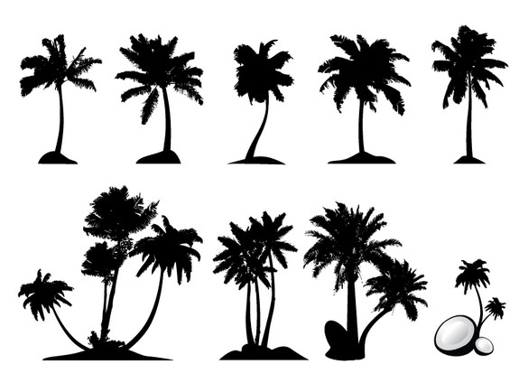 Palm Tree Set png