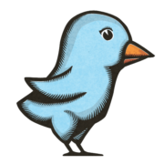 Twitter Icon [512x512 PNG - 15 File]
