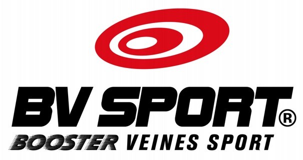 Bv Sport Logo Download Vector