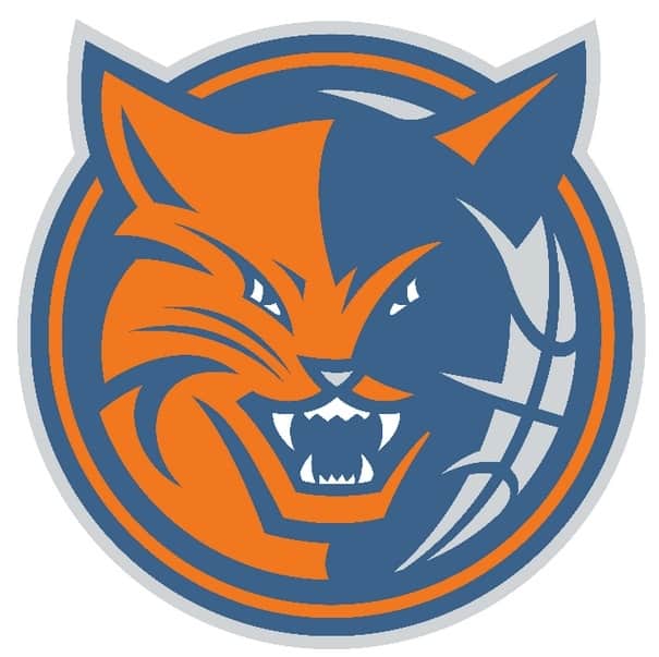 Download Charlotte Hornets Logo (NBA) Download Vector