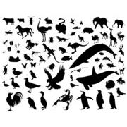 Animal Silhouette Vector Pack