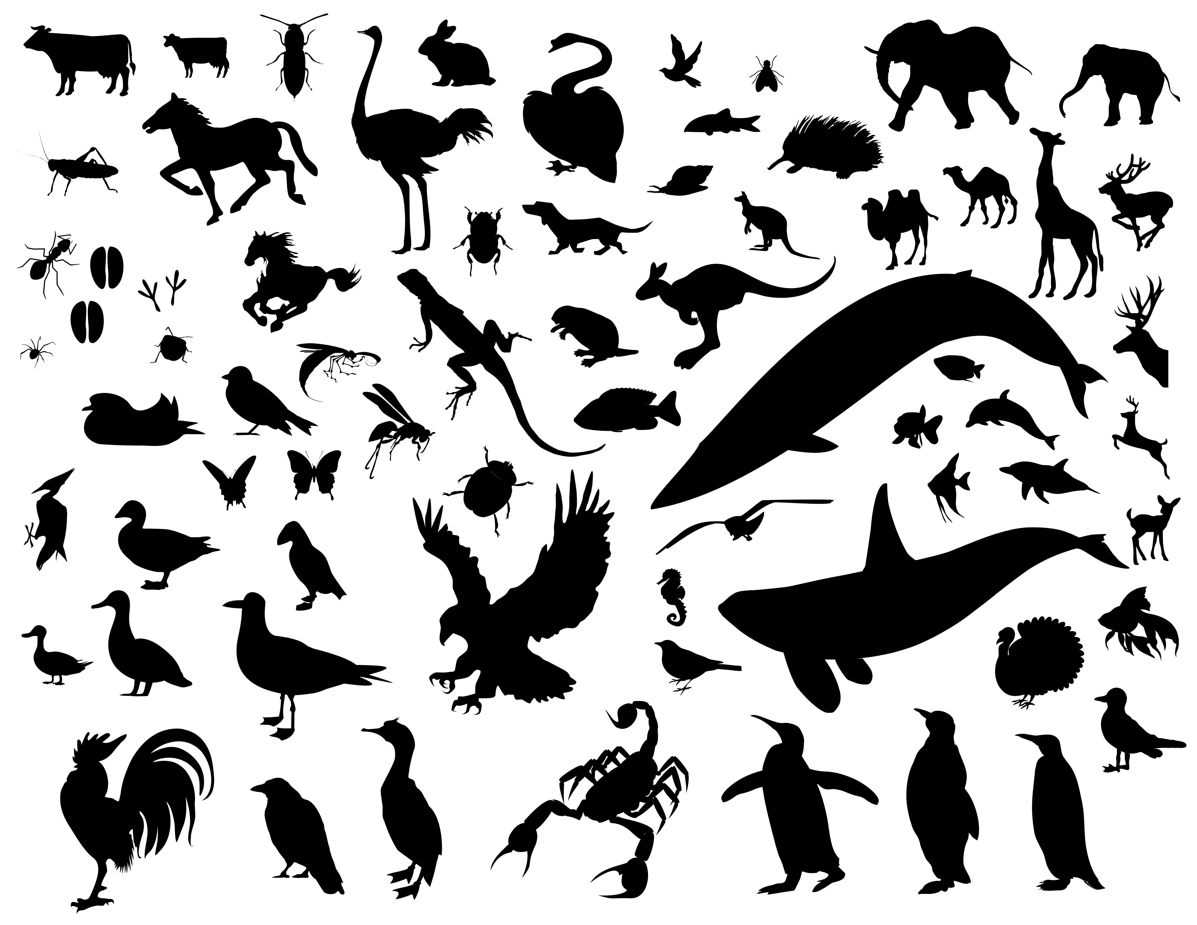 Animal Silhouette Vector Pack png