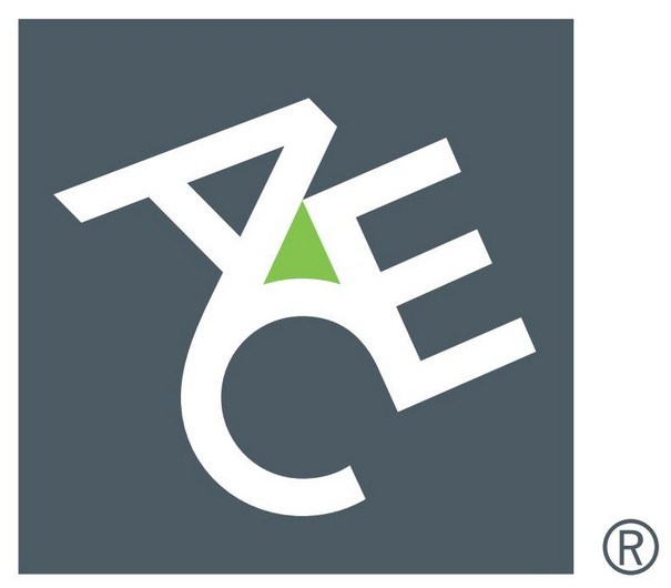 ACE Group Logo png