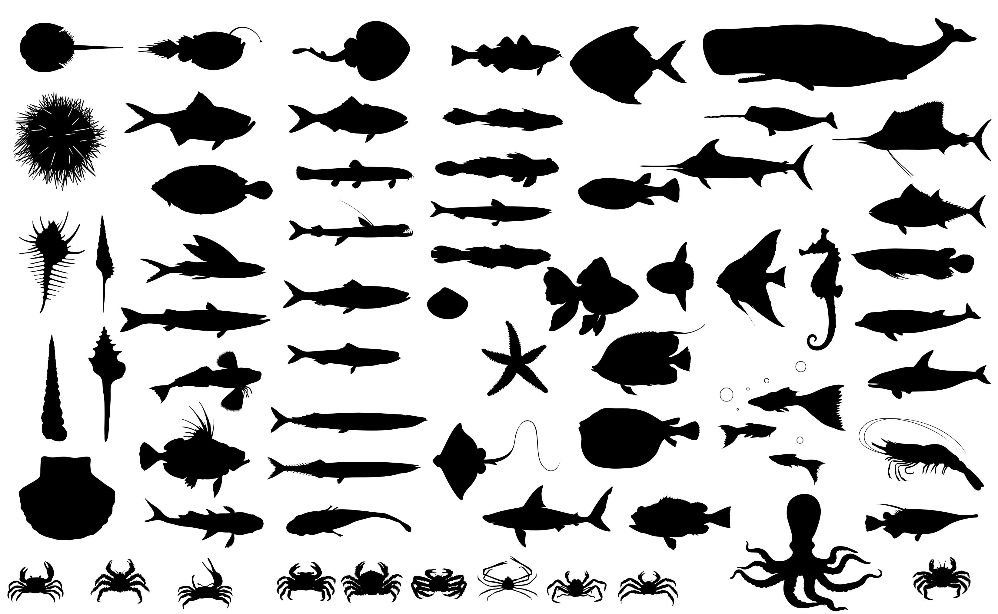 Fish Silhouettes png