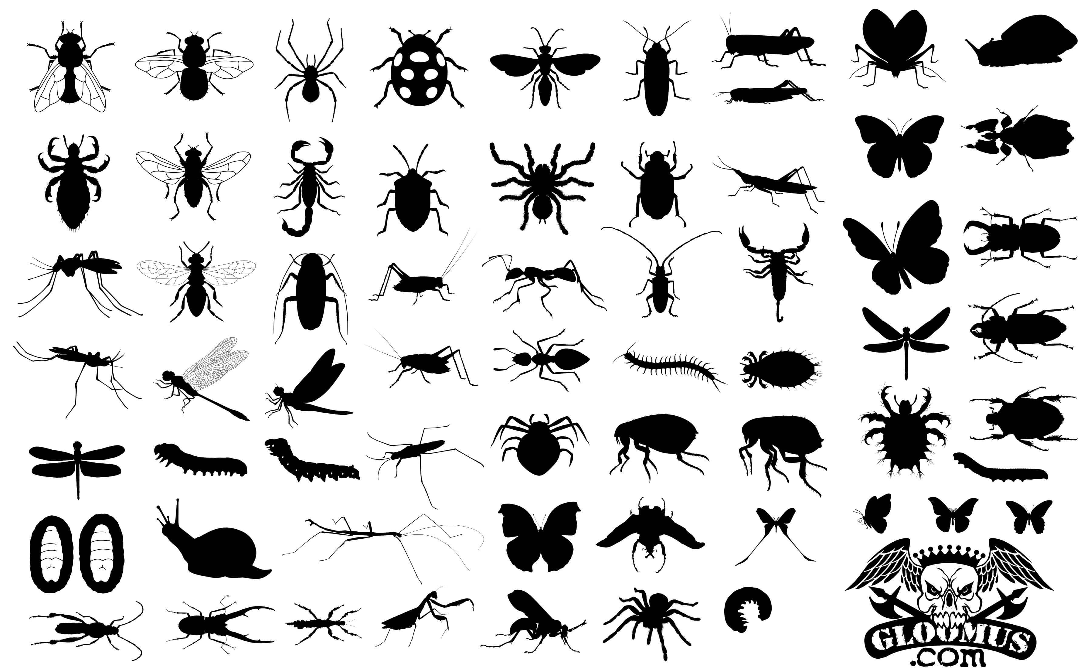 65 Insect Silhouettes png