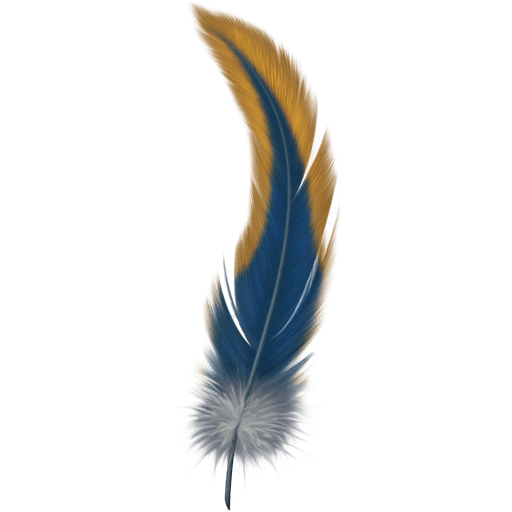 Beautiful Feathers 512x512 [PNG Files] png