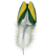 Beautiful Feathers 512x512 [PNG Files]