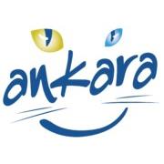 Ankara Büyük?ehir Belediyesi Logo