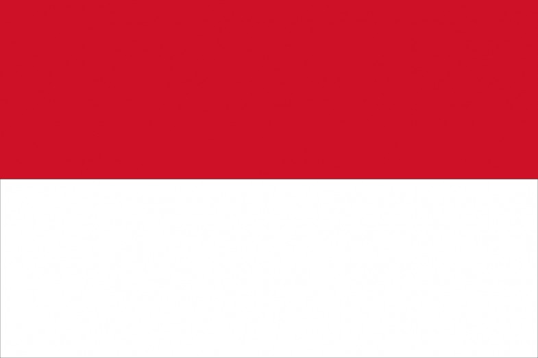 Indonesia Flag And Emblem Indonesian Download Vector