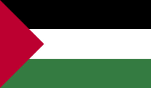 Palestine Flag Download Vector