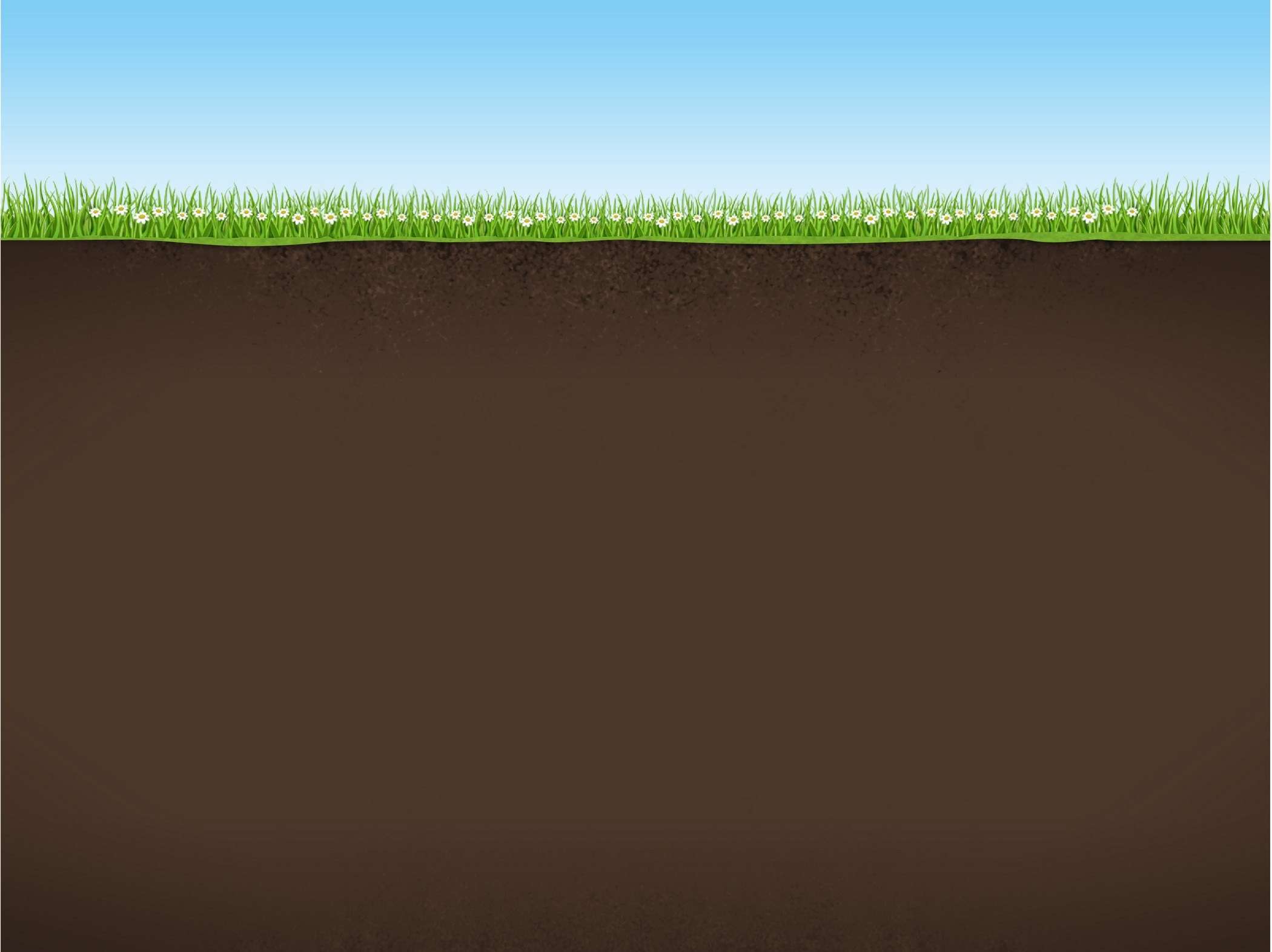 Nature, Background, Sky, Grass, Earth png
