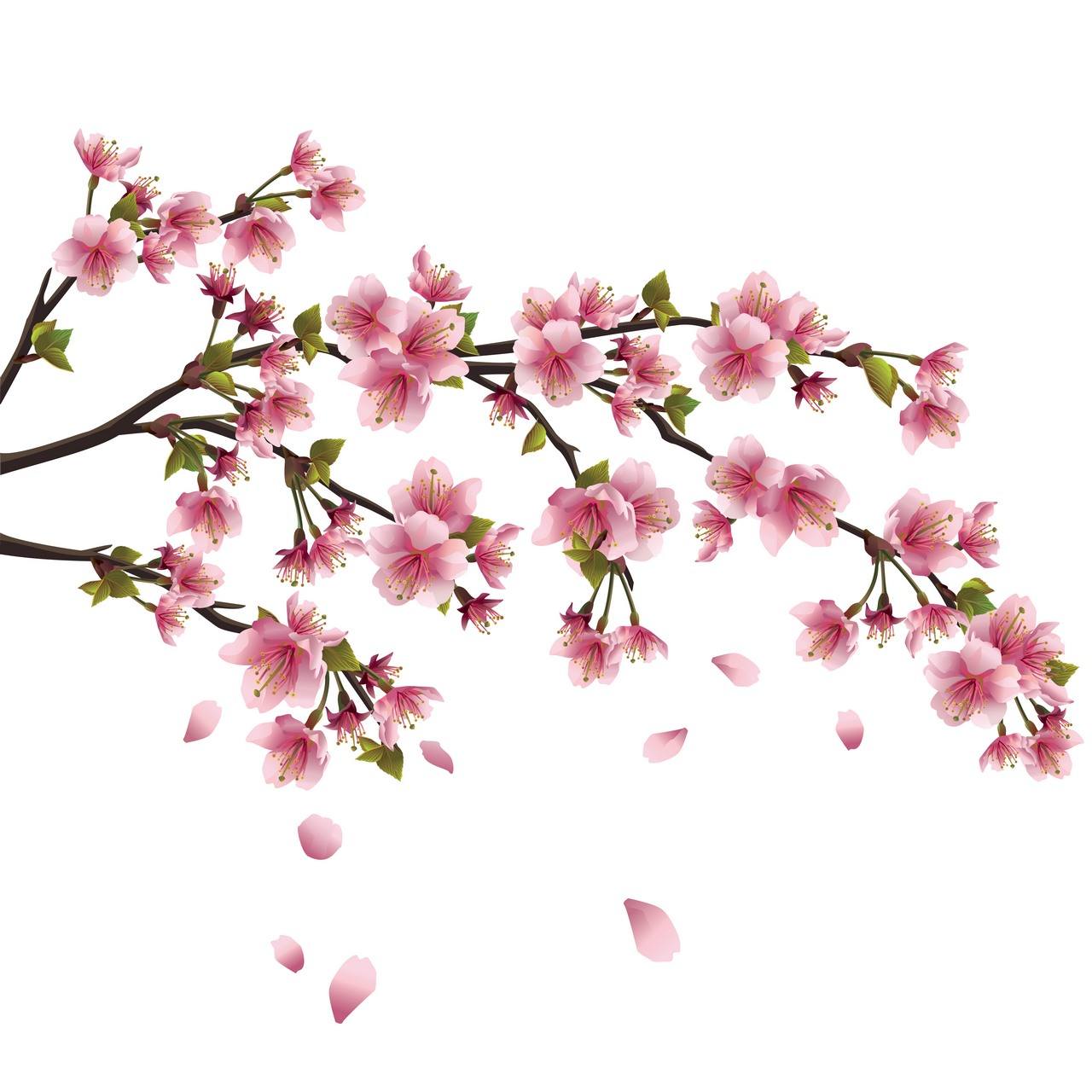 Flower Background 03 Download Vector