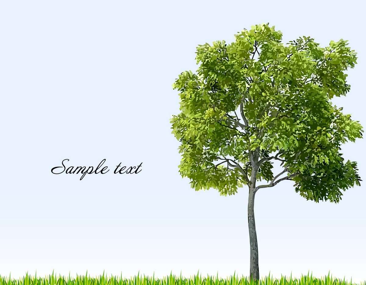 Tree Background 01 png