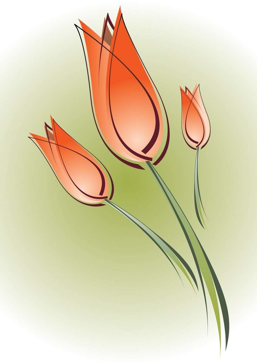 Flower, Tulip png