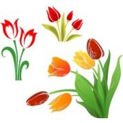 Flower, Tulip 01