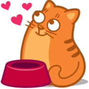 Cat Icon Set [PNG   256x256] png