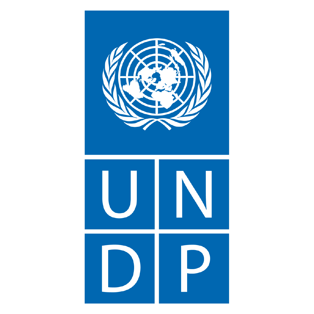 UNDP Logo png
