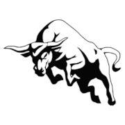 Bull PNG (11 Image)