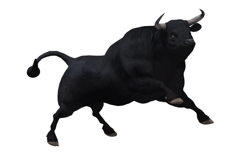 Bull PNG (11 Image) Download Vector