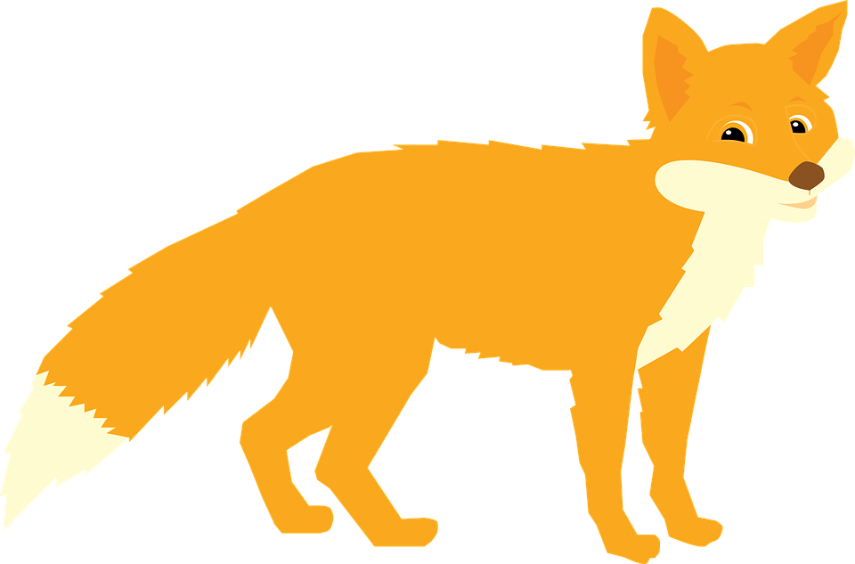 Fox PNG Clipart (14 Image) png