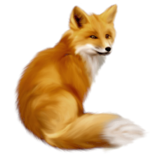 Fox PNG Clipart (14 Image)