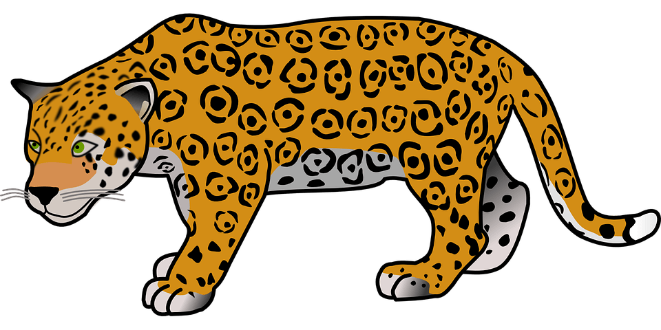 Jaguar Png Clipart (8 Image) png