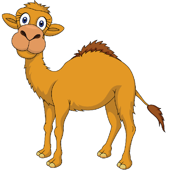 Camel PNG Clipart (28 Image)