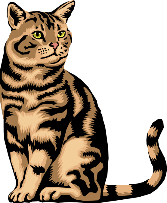 Cat PNG Clipart (28 Image) png