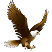 Eagle PNG (25 Image)
