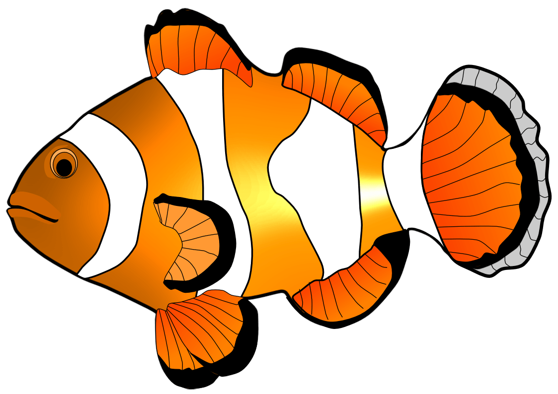 fish-png-clipart (1) - free download