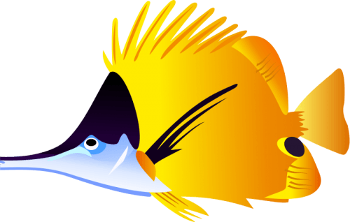 Fish Png Clipart (16 Image) png
