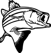 Fish Png Clipart (16 Image)
