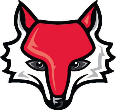Fox Head PNG Clipart (7 Image) png