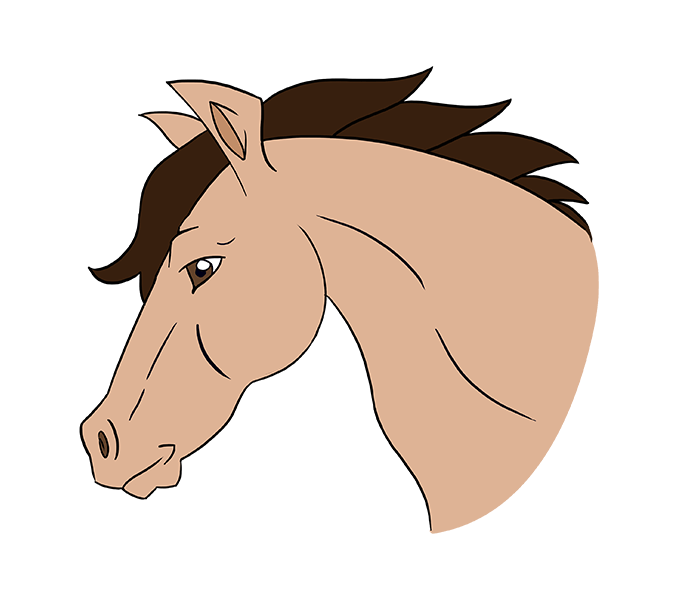 Horse Head Png Clipart (23 Image)