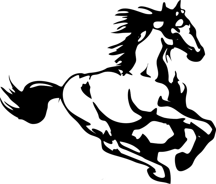 Horse PNG Clipart (24 Image) png