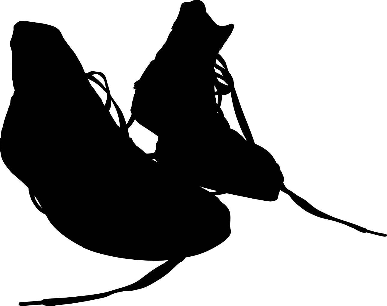 Clothing Shoes Silhouette png