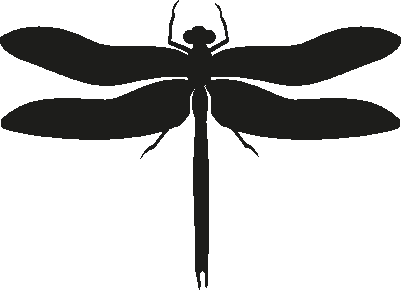 Insects Set [Silhouette] png