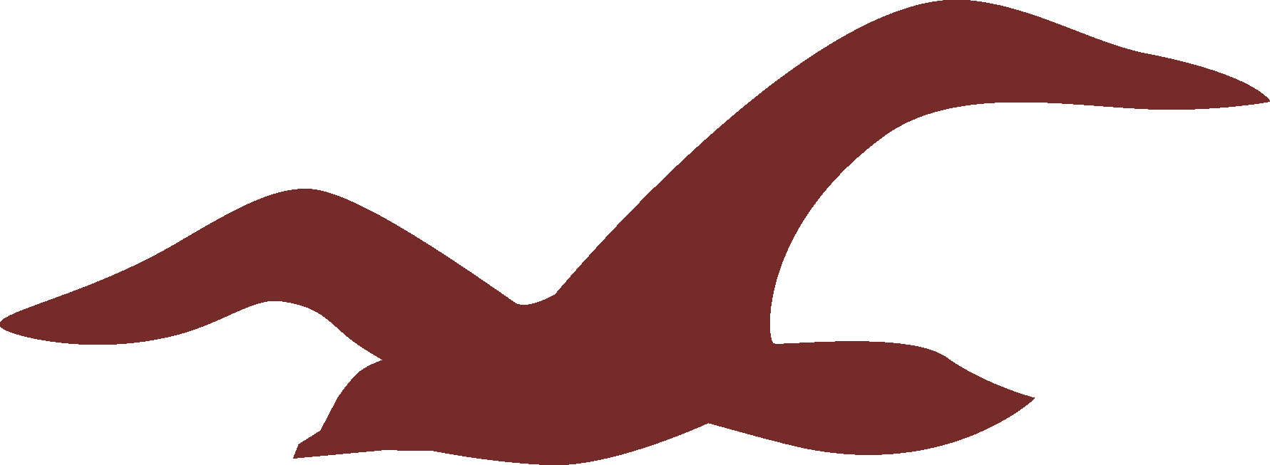 Hollister Logo png