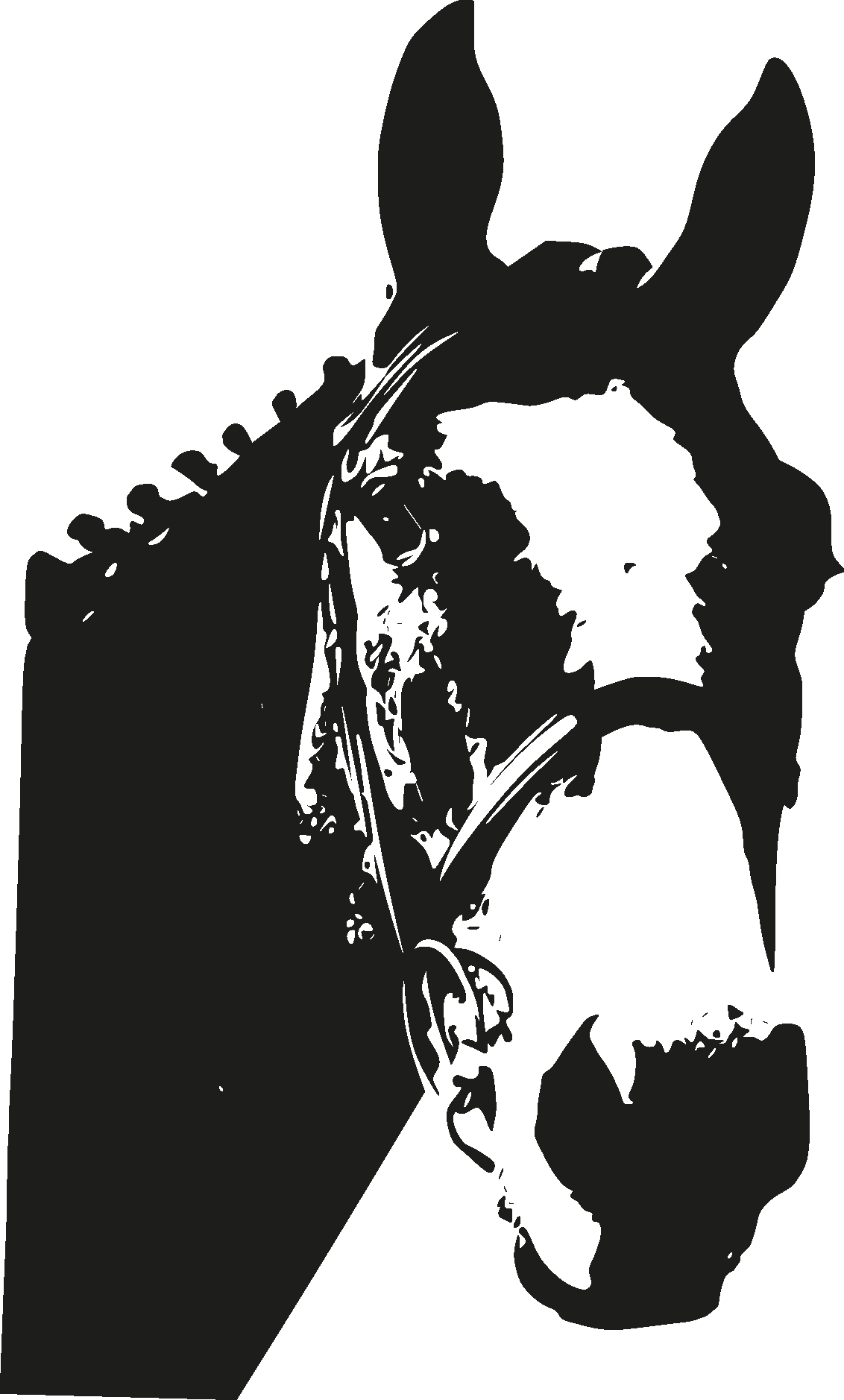 Horse Head Silhouette png