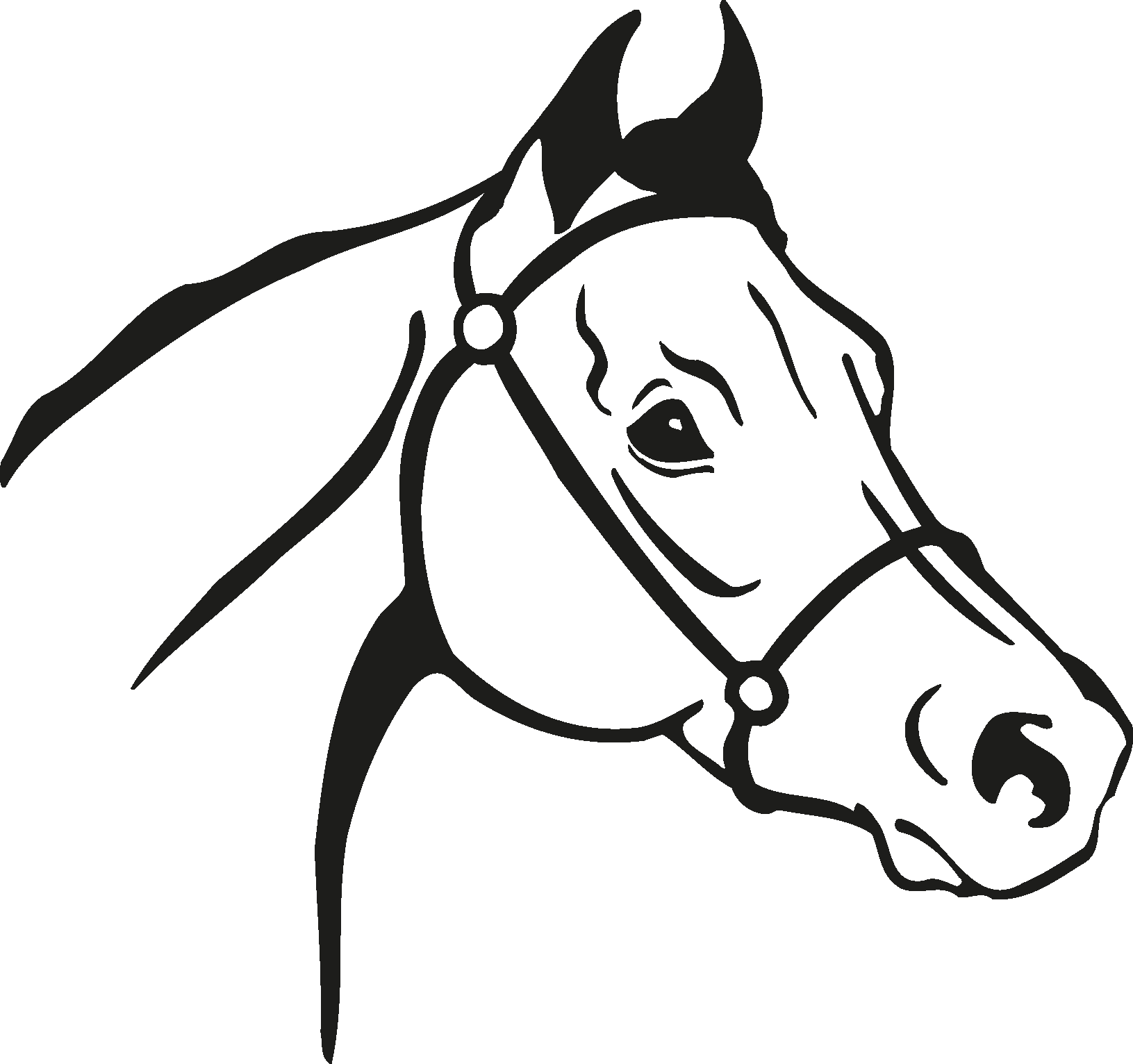 Download Horse Head Silhouette Download Vector