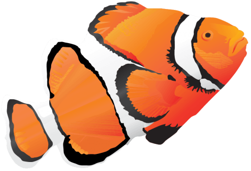 Fish Vector Pack png