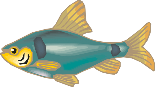 Different Fish Vector Set png