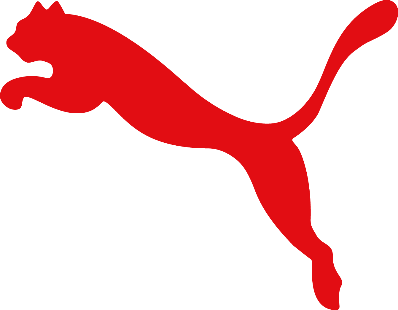 Puma Logo png