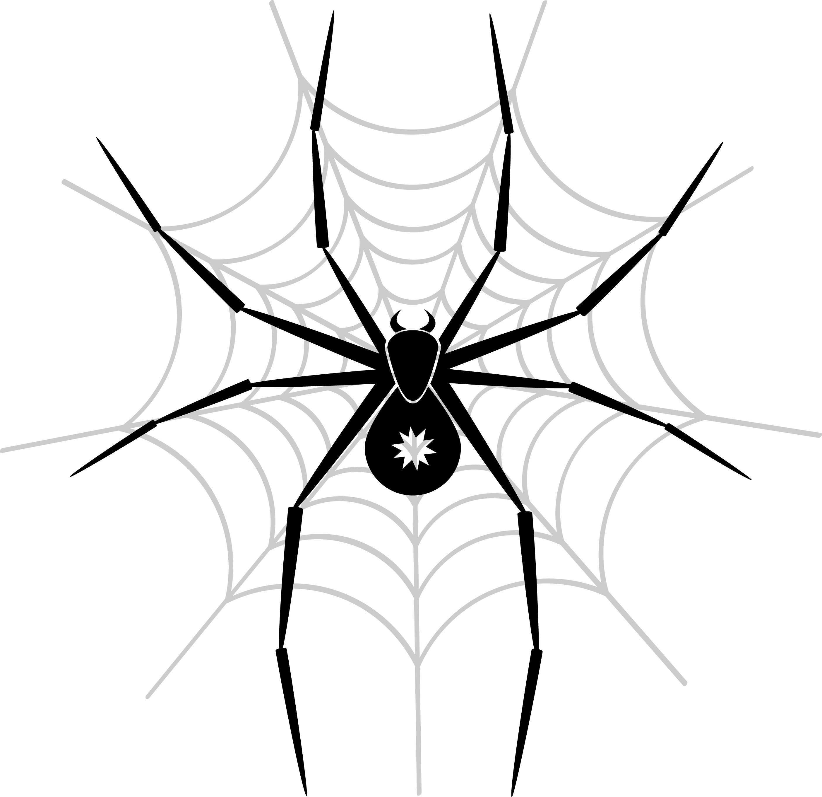 Spider PNG Image png