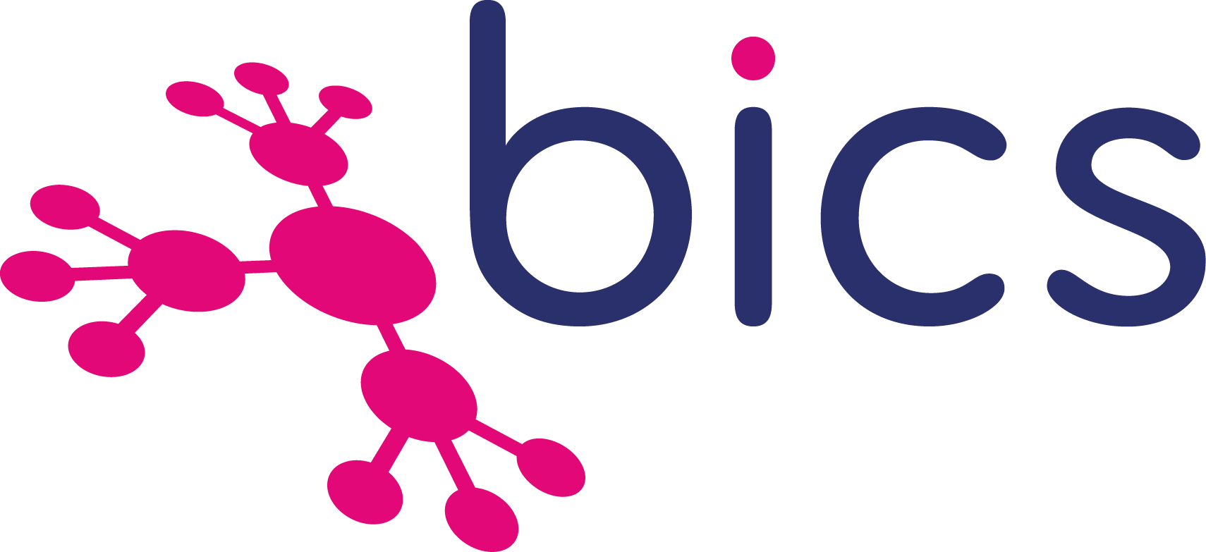 Bics Logo png